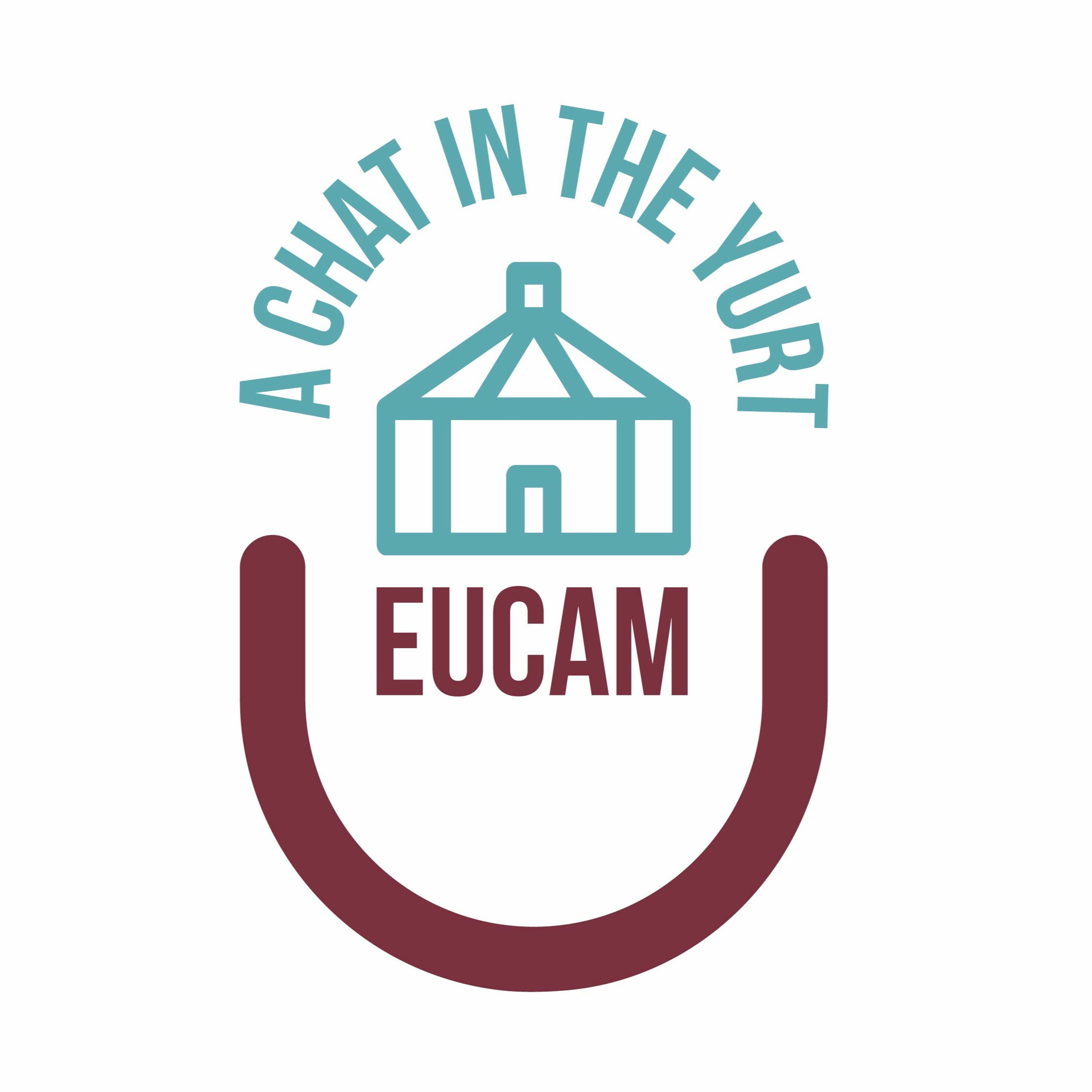 A Chat in the Yurt - Episode I: Modern Central Asia episode artwork