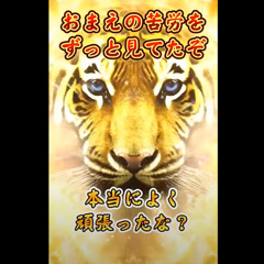 Gold Tiger Affirmation