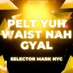 PELT YUH WAIST NAH GYAL - SELECTOR MARK NYC