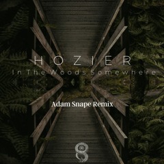 Hozier - In The Woods Somewhere (Adam Snape Remix) (Free Download)