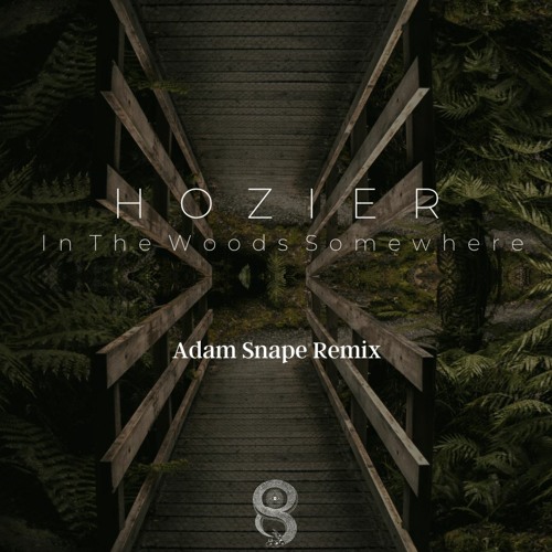 Hozier - In The Woods Somewhere (Adam Snape Remix) (Free Download)