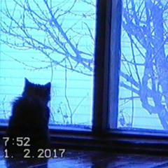 я не запомню как тебя любил