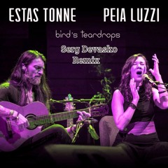 Estas Tonne Ft.Peia Luzzi - Bird's Teardrops(Serg Devasko Remix)