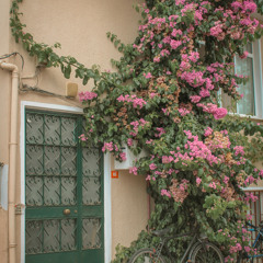 “Barry Gordon” | made on the Rapchat app (prod. by robevn)