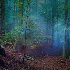 O Valor Da Raiz (Hin.O Valor da Raiz)