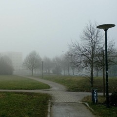 Nebel Tag 02.03.2023
