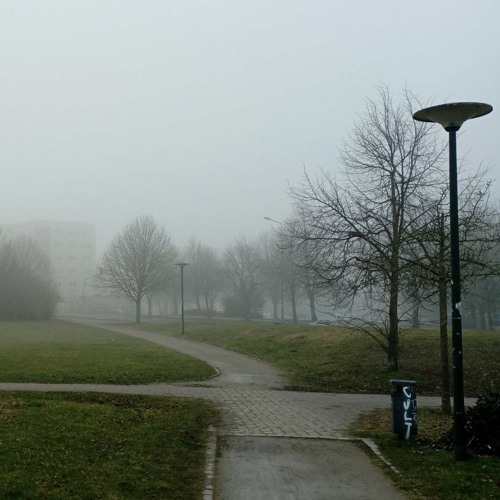 Nebel Tag 02.03.2023