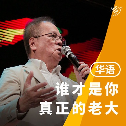 谁才是你真正的老大？（华语）27/04/2025