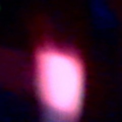 THERE IS NO DONGLE YOU CAN'T DOWNLOAD YOUR LIFE IT'S A JUNGLE