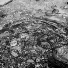 The Dawdler's Dream Set