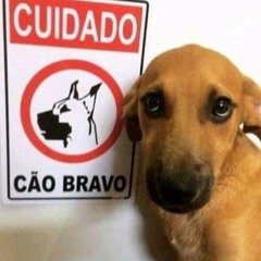 TREM BALA NAO PARA NUNCA, SO DA UM TEMPO [ DJ ROBOCOP MIL BEATS ]