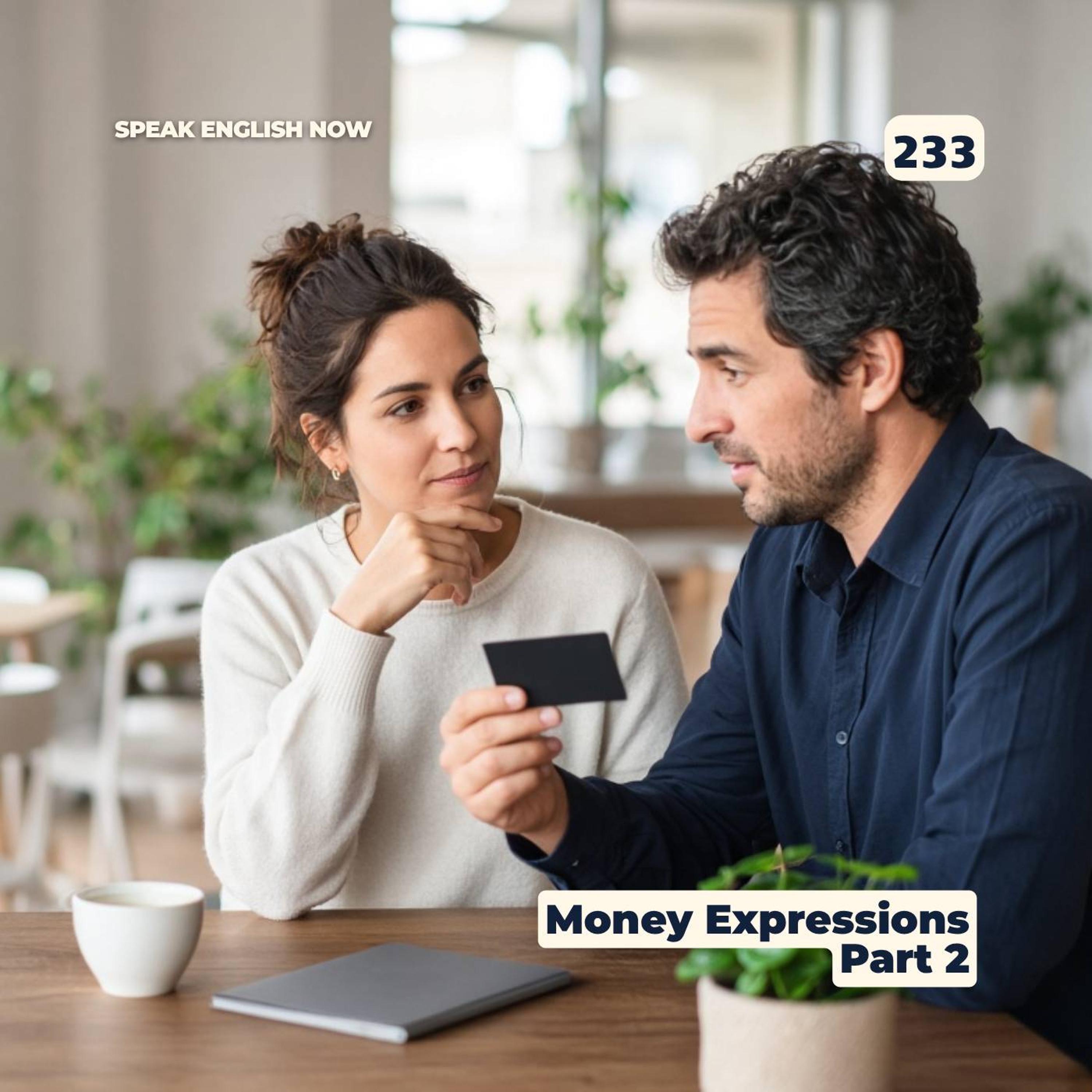 #233 Money expressions in English part#2 episode artwork