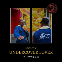 Undercover Lover