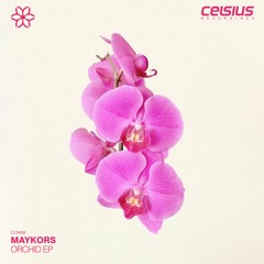 Maykors & Parhelia - Orchid