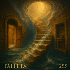 TAFFETA | 255