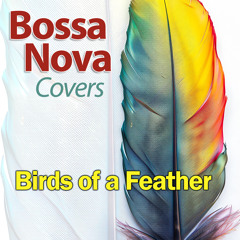 Birds of a Feather