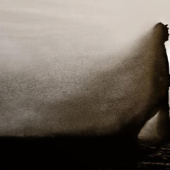 Dust In The Wind - By Mixxwell (Kanas Remix)