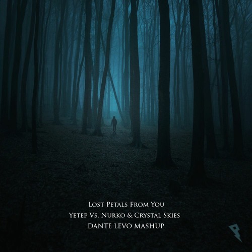 Lost Petals From You - Yetep Vs. Nurko & Crystal Skies (Dante Levo Mashup)
