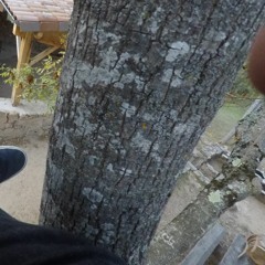 hella punk sympashit