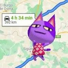 zekri