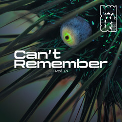 Radio Danziger Vol. 21 by Can't Remember