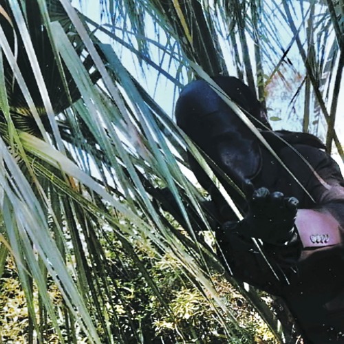 the eidolon (vocal, drum, & bass stems only)