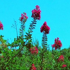 <Apologies;-;RW>Blue.skies;-;vers4A