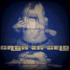 GATA EN CELO