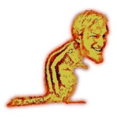 BergaBash - Tamius Scuiridae