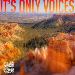 It's Only Voices (Mashup)