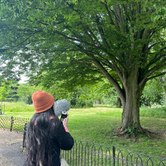 Wind, Kite, I 我自成风