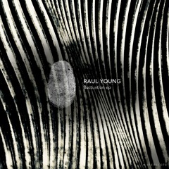 Raul Young - Fluctuation (Original Mix)