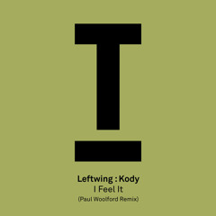 I Feel It (Paul Woolford Remix)
