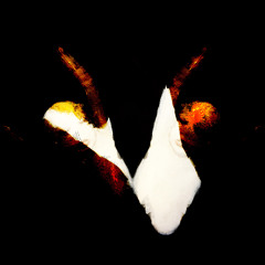 mwamwa - lywyn