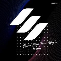 Jaytor - Never Felt This Way (Original Mix)