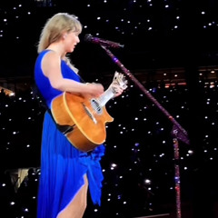 imgonnagetyouback x Dress Live at The Eras Tour