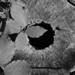 Dose Three - Exact Lode