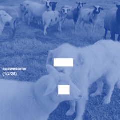 LIVE @ SOAWESOME (1/2/25)