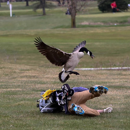 Coast Thing (SIDE B edit) [Hailee Steinfeld vs Pegboard Nerds]