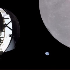 sono una formica/ mini skit lofi