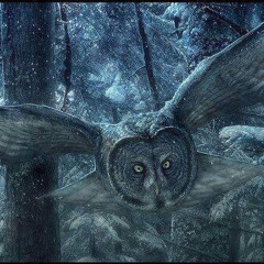 DerEule Techno Set Vol.1