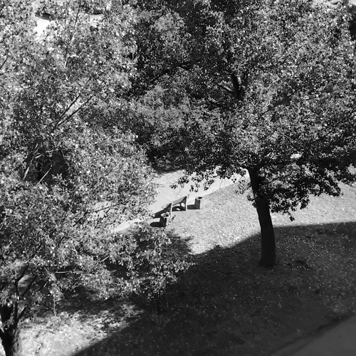 szałap - pusta ławka