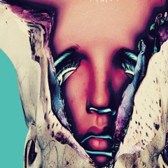 プラスチックの皮