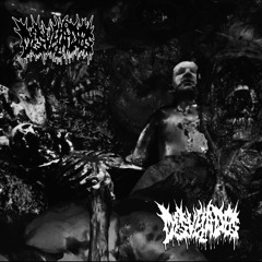 Desvelados - Distorted Foos