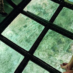 Review Special Price Key Largo Coral Reef Glass Bottom Boat Adventure