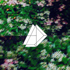 light demo****** outro (w_fwdslxsh and romil) garage edit