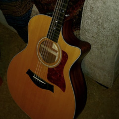 when the pin hits the shell wrote by Mike Cooley