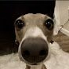 描くことを学ぶ