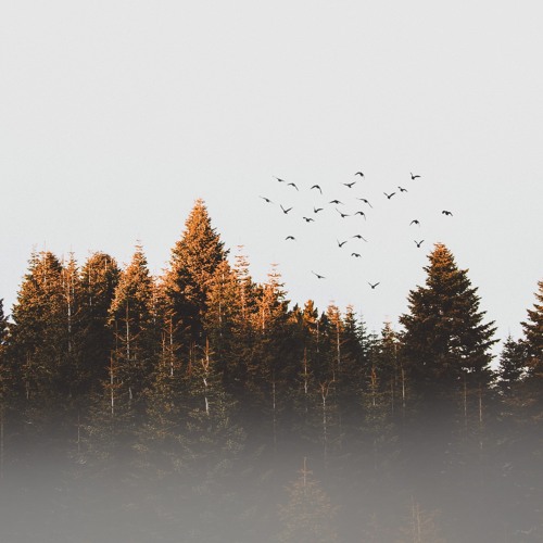 Stream Lullaby For Mind 1 Hour Mix Free Background Piano Relaxing 