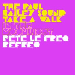 The Paul Bailey Sound - Take A Walk In The Moonlight (Pete Le Freq Refreq)